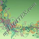 Colour:K