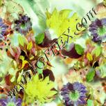 Colour:K