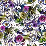 Colour:A