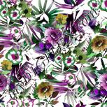 Colour:B