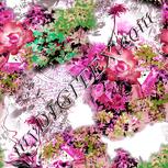 Colour:B