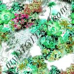Colour:C