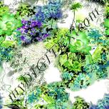 Colour:D
