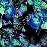 Colour:F