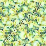 Colour:K