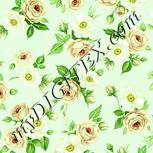 Colour:K