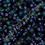 Colour:F