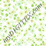 Colour:K