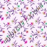Colour:B