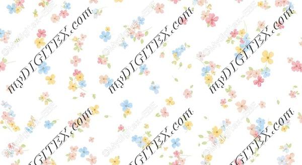 EBE 0005918