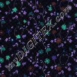 Colour:F