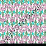 Colour:B