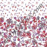 Colour:B