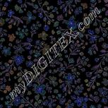Colour:F