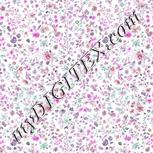 Colour:B