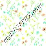 Colour:K