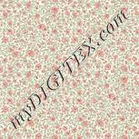 Colour:A