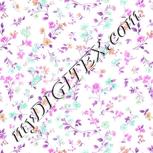 Colour:B
