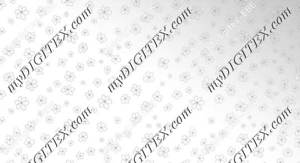 EBE 0006004