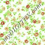 Colour:K