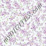 Colour:B