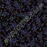 Colour:F