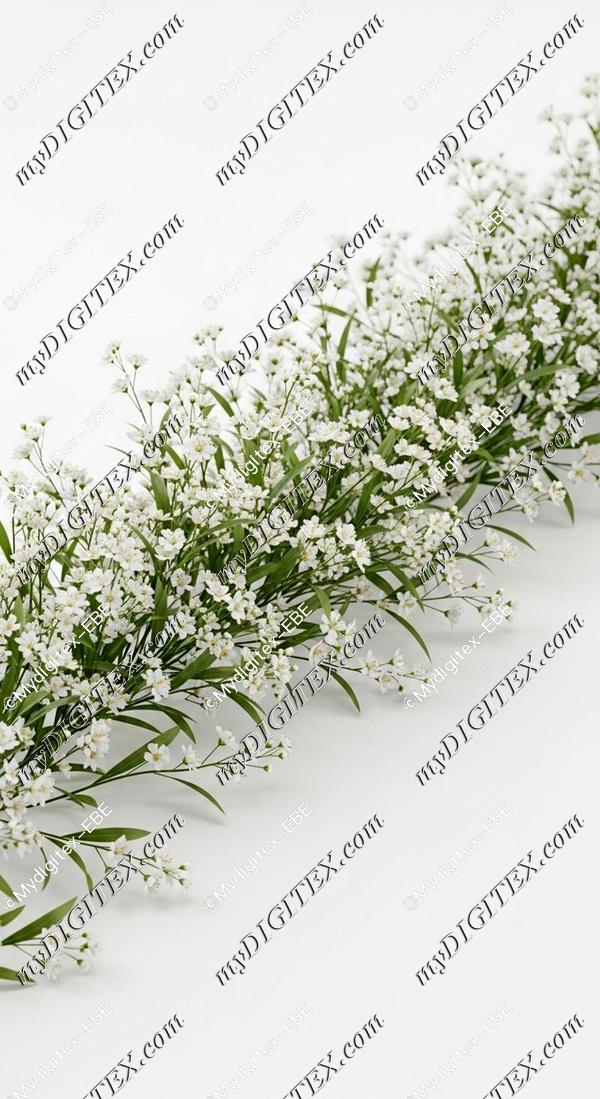EBE 0006022