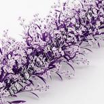Colour:B