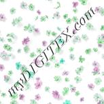 Colour:C