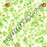 Colour:K