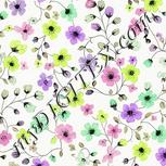 Colour:D
