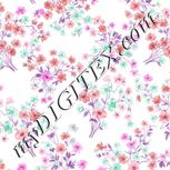 Colour:B