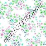 Colour:C