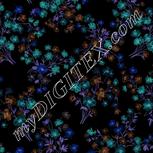 Colour:F