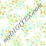 Colour:K