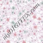 Colour:B