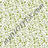 Colour:A