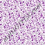 Colour:B