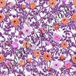 Colour:B