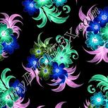 Colour:F