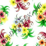 Colour:K