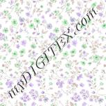 Colour:D