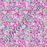 Colour:B