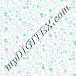 Colour:C