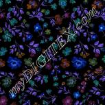 Colour:F
