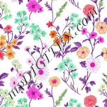 Colour:B