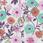 Colour:B