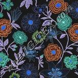 Colour:F
