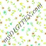 Colour:K
