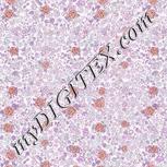 Colour:B